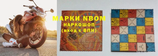 PSILOCYBIN Алзамай