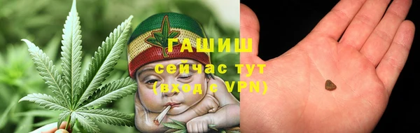 PSILOCYBIN Алзамай