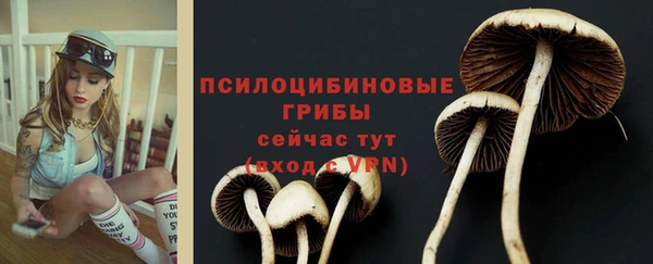 PSILOCYBIN Алзамай